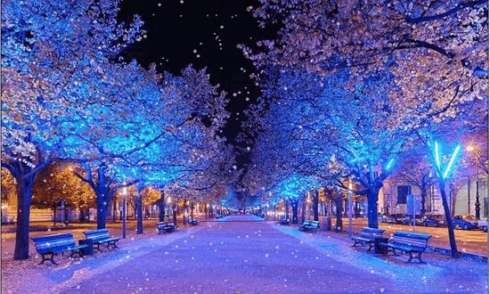 Прогноз погоди в Україні на сьогодні 8 лютого: снігопади. У найближчі дві доби, 8-9 лютого, в Україні погіршиться погода, зокрема, посилиться вітер і пройде сильний снігопад.