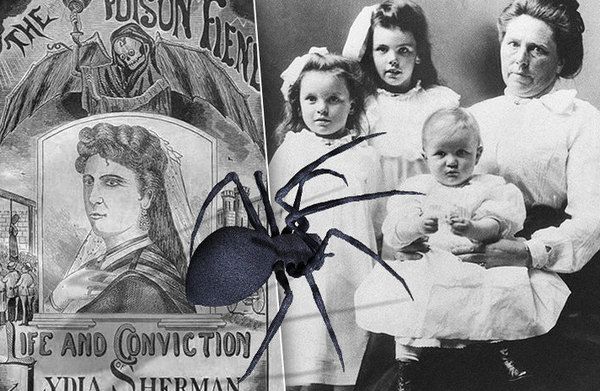 Чорна вдова: чотири жінки, шлюб з якими вів в могилу. Чорна вдова - вид павуків, самки яких мають звичай з'їдати самців після спарювання.