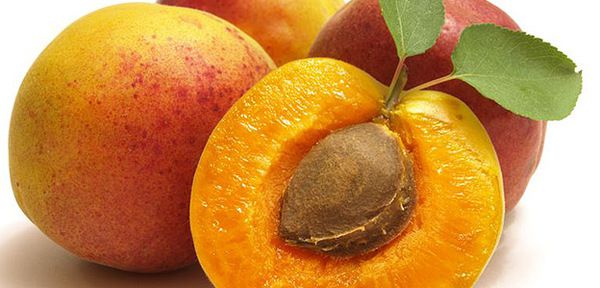 Ця речовина швидко вбиває ракові клітини!. Вітамін В17, який вбиває рак, міститься в плодових кісточках переважно абрикосових.