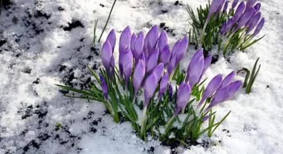 Синоптик розповів, коли в Україну прийде весна. Цього року весна в Україну має прийти "в нормальні терміни". 