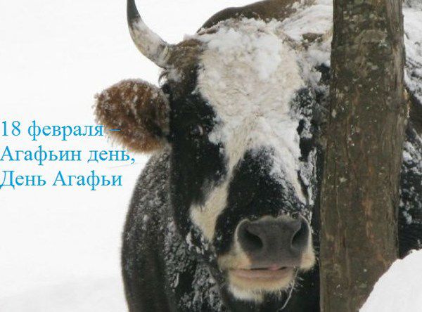 «Агафія Коровниця»: народні традиції 18 лютого 2018 року. 18 лютого було прийнято поминати предків, що відійшли в інший світ.