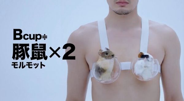 Японський рекламний треш: чоловіки у ліфчиках, тварини замість грудей. Обережно, ця реклама білизни може звести вас з розуму.