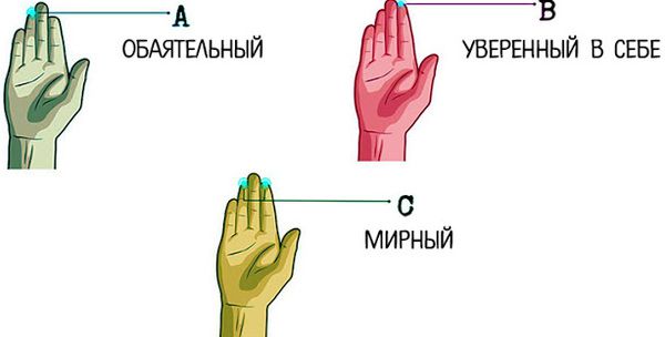 Довжина пальців розповість про ваш характер. Чи існує зв'язок між пальцями і вашою особистістю?