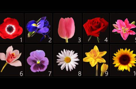 Тест, який розповість про вас найпотаємніше. Виберіть квітку.