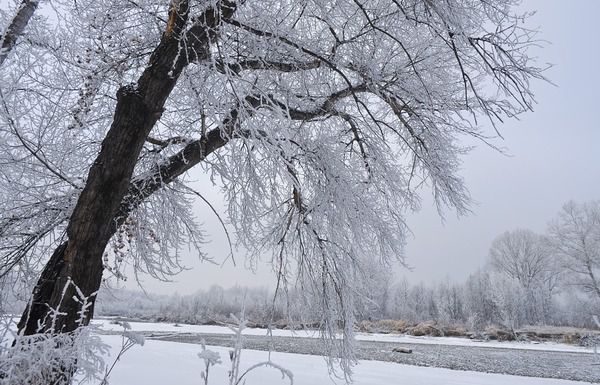 У понеділок в Україні похолодає до -25. 26 та 27 лютого в Україні збережеться морозна погода, вночі температура місцями опуститься до -25 градусів