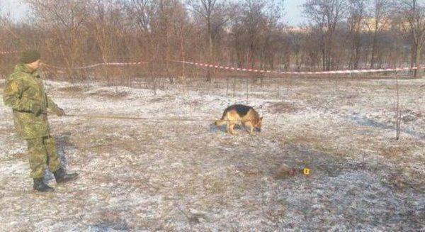 Пес відкопав на пустирі тіло дитини. Вранці 25 лютого у посадці між мікрорайонами Сонячний і Гірницький міста Кривой Ріг собака відкопала з землі голову дитини