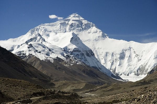 Вчені виявили найбільш високоживучіх створінь на вершині Евересту. Вчені стверджують, що є живі істоти, для яких Еверест є справжнім домом.
