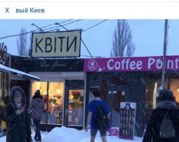 У шортах і на кабріолеті. В мережі показали фото дивних людей в морозному Києві. Одному зі столичних автомобілістів сніг не завадив покататися на кабріолеті, а іншому - вийти в магазин за квітами в самих шортах.