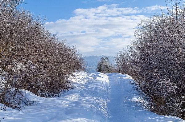 Прогноз погоди в Україні на вихідні 3-4 березня: знову снігопади і заметіль. У вихідні Україну накриють сильні снігопади, денна температура повітря -8 градусів.
