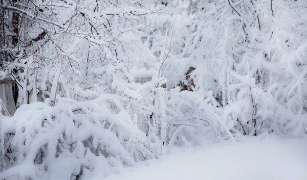 Погода в Україні на вихідні: снігопади та морози продовжуються. У країні 3 і 4 березня очікуються сильні снігопади, а також дощі. У неділю сухо буде тільки в Закарпатській, Івано-Франківській, Чернівецькій, Одеській та Миколаївській областях.