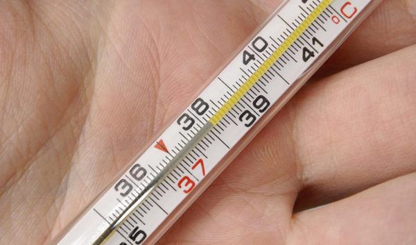 Медики розповіли, в яких випадках потрібно збивати температуру. Лікарі стверджують, що при вірусних захворюваннях збивати температуру нижче 38 градусів (а частіше – навіть 38,5) шкідливо.