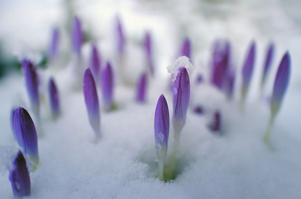 Прогноз погоди в Україні з 4 по 7 березня: коли настане потепління. 5 березня, понеділок, опадів в країні не очікується.