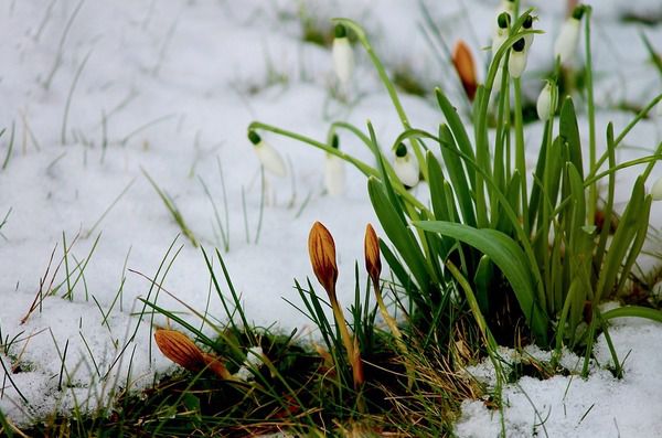  Прогноз погоди в Україні на 6 березня: невелике потепління. У вівторок, 6 березня, морози трохи почнуть відступати з території України, сильних опадів не передбачається.