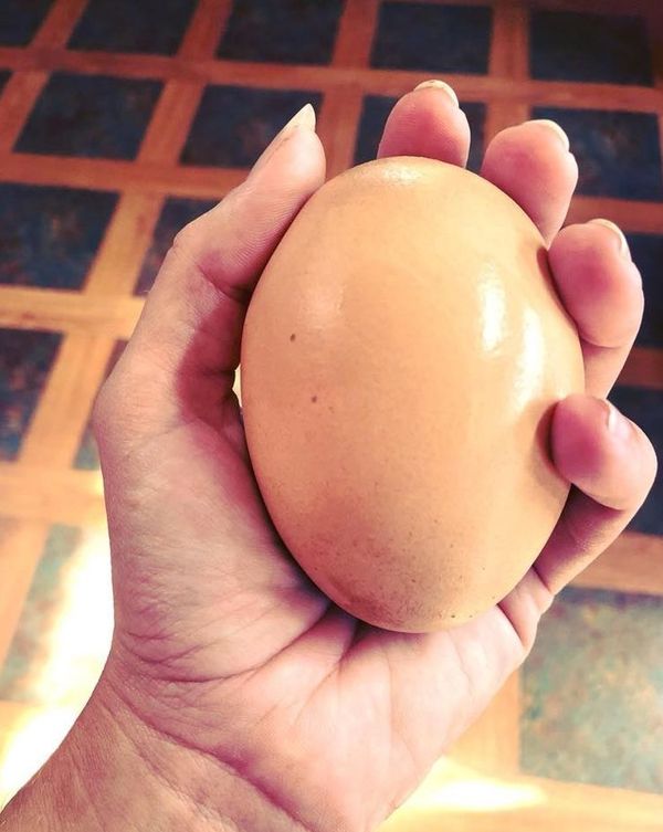 Несподіваний сюрприз, залишений куркою всередині величезного яйця. Загорнула в притаманну їм "упаковку".