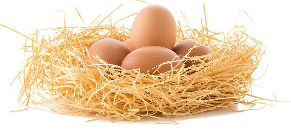 Що станеться з вашим тілом, якщо щодня їсти 3 яйця?. Дієтологи якийсь час не надто довіряли яйцям: підвищений холестерин звалювали саме на цей продукт. Однак останні дослідження говорять зворотне