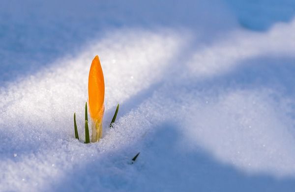 Прогноз погоди в Україні на 9 березня: ожеледь, туман та мокрий сніг. У найближчі дні в Україні місцями невеликий мокрий сніг і дощ.