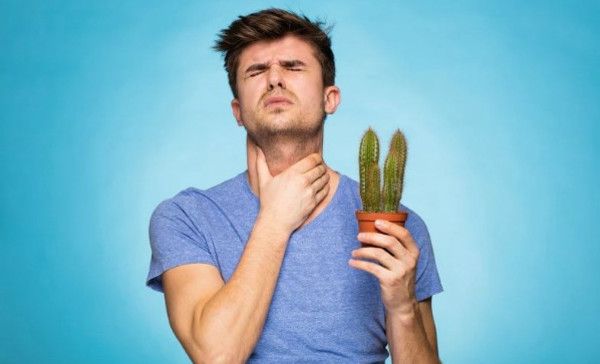  Як швидко вилікувати хворе горло: поради лікарів. Ці поради від професійних медиків можуть стати в нагоді кожному.