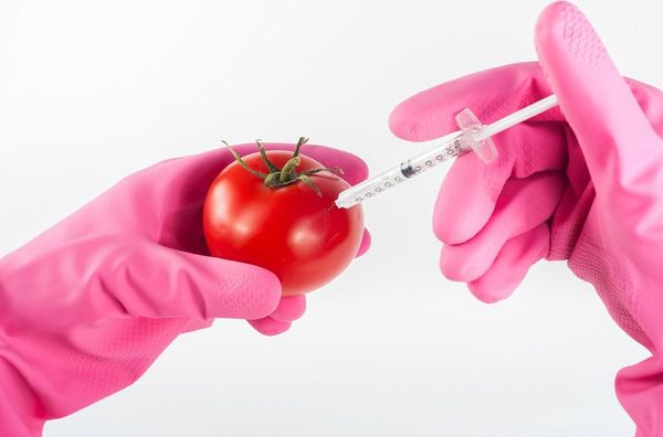 Через 20 років і 6000 досліджень з'ясувалося, що ГМО - це взагалі корисно!. Ну, зараз почнеться....