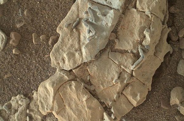 Гучні викриття вустами відважного вченого: НАСА приховує докази того, що на Марсі було життя!. Підозри в душі британського вченого Баррі Ді Грегорио посіяли цікаві знімки поверхні червоної планети, зроблені марсоходом Curiosity. І він відважно поділився ними з усім світом, а ми — з тобою!