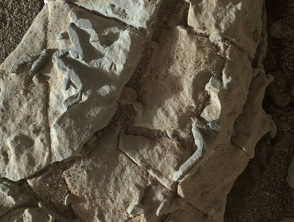 Гучні викриття вустами відважного вченого: НАСА приховує докази того, що на Марсі було життя!. Підозри в душі британського вченого Баррі Ді Грегорио посіяли цікаві знімки поверхні червоної планети, зроблені марсоходом Curiosity. І він відважно поділився ними з усім світом, а ми — з тобою!