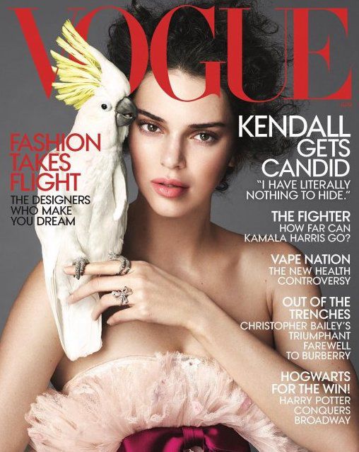 Кендалл Дженнер розповіла про свою сексуальну орієнтацію. Модель дала відверте інтерв'ю журналу Vogue.