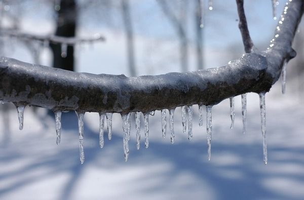 17-19 березня сніг і морози: синоптик розповіла, коли в Україну прийде весняне потепління. Інтенсивного наростання тепла не передбачається ще довго.