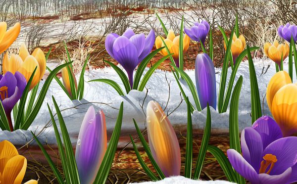 16 березня - день, коли після зими прокидаються навіть найбільш ліниві і коли треба вийти в поле. У народному календарі 16 березня – день Євтропія.