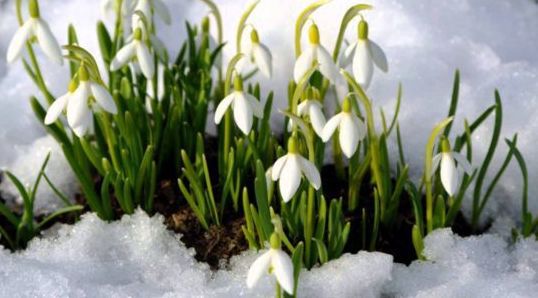 Справжня весна прийде в Україну вже 23-24 березня. "Опади протримаються ще два дні." 
