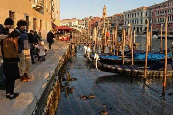 Як виглядає Венеція без води: незвичайні кадри "зневоднених" вулиць. В останні роки мандрівників, які приїжджають в Італію, очікує велике розчарування.