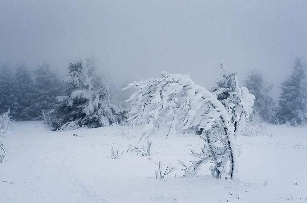 В Україні оголосили штормове попередження. Пройде сильний сніг, хуртовини.
