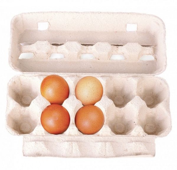 Вибери, в якому лотку яйця лежать правильно, — дізнайся про свою найсильнішу сторону!. Психогеометрія в дії.