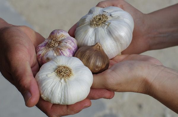 Рятівні продукти для Ваших судин. Зміна раціону харчування допоможе здоров'ю ваших судин, та запобігти тромбозу.