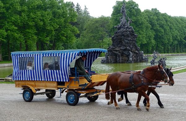 29 березня - Саввін, Воза день. .На Саввіна сані покинь, воза посунь .