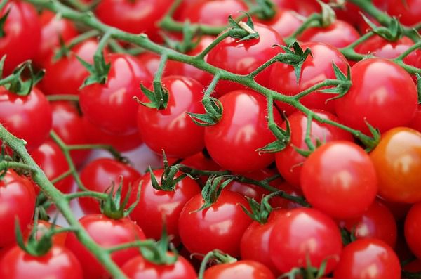 Чому у магазинних помідорів «картонний» присмак?. Сучасні магазинні помідори не дуже смачні. Покупці називають їх «картонними» (і можливо, не без підстав).