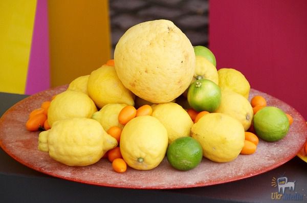 Шкідливі властивості цитрусових, про які багато хто не знає. Виявляється, цитрусові фрукти можуть завдати шкоди здоров'ю.