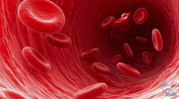 Що ваша група крові може сказати про ваш характер?. Як би дивно це не звучало, але існує зв'язок між вашою групою крові і характером.