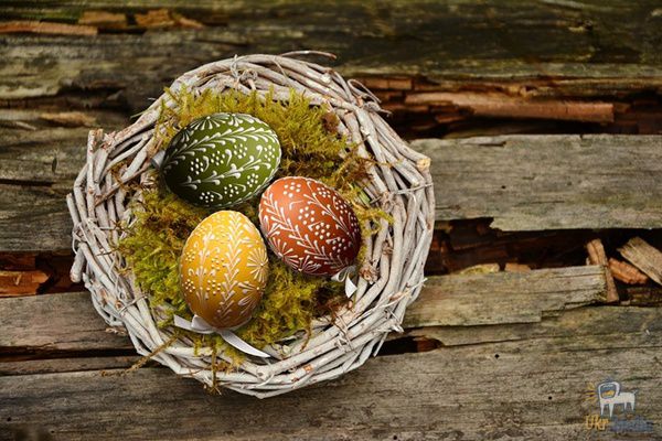 Як пофарбувати яйця на Великдень: 4 простих способи. Прикрашаємо яйця цибулевим лушпинням, з допомогою ниток і трафарету.