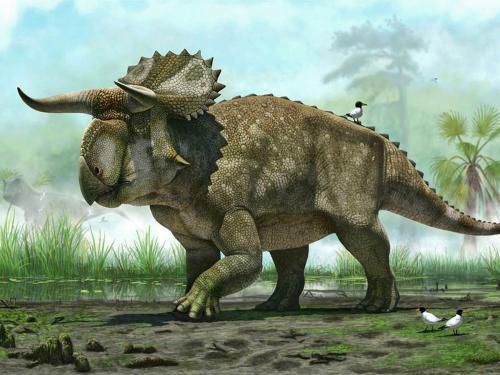 Вчені зробили сенсаційну заяву!. Динозаврів вбив не астероїд, а квіти.