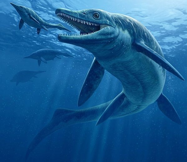 Вчені виявили найбільшу вимерлу тварину. Частина скелета належить гігантському ихтиозавру.