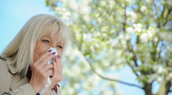 Незвичайні причини алергії. Перші симптоми полінозу - чутливості до пилку рослин у алергіків, за прогнозами медиків, почнуть проявлятися з середини квітня.