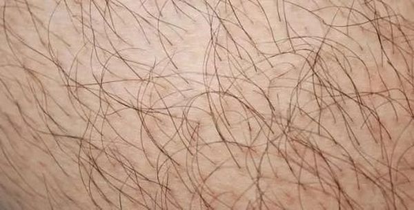 Про що може розповісти волосся на тілі?. На це варто звернути увагу!