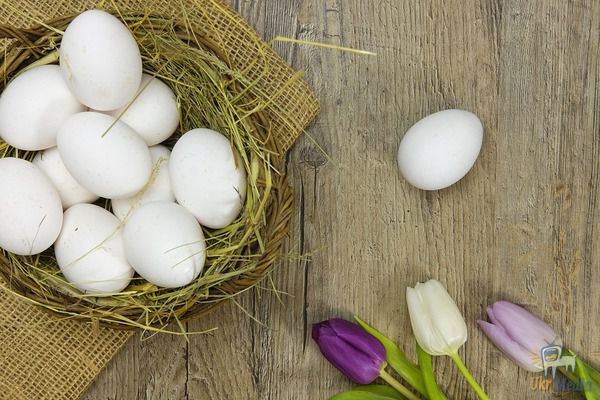 В чому різниця між білими та коричневими яйцями?. Останні вважаються більш привабливими та більш якісними. Але чи так це?