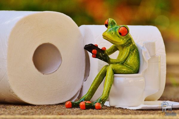 Зарубіжні вчені-медики заявили, що туалетний папір шкодить здоров'ю. Туалетний папір шкодить здоров'ю.