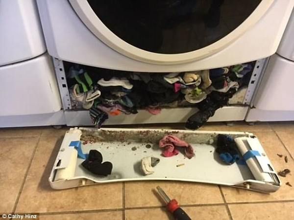 Ви були праві: пральні машини все ж пожирають шкарпетки!. У нас є фото!