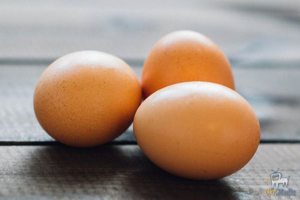 Що трапиться, якщо їсти по три яйця на день. Нам давго і часто розповідали, що багато яєць їсти не можна: мовляв, в них міститься багато холестерину і це вкрай важкий для печінки продукт.