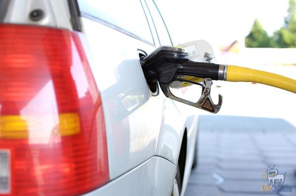 Експерти підказали, як ефективно економити бензин. Ці поради допоможуть вам рідше заправляти автомобіль.