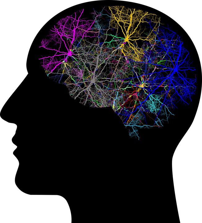 4 наукових способа вдосконалити розумові здібності. Нейропластичність – воістину неймовірна здатність нашого мозку змінюватися і адаптуватися протягом усього життя.