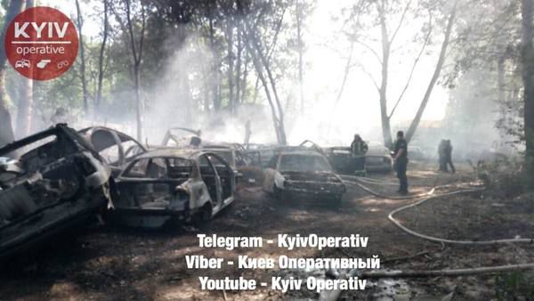 Поліцейські Києва знищили 54 автомобіля порушників ПДР. В мережі опублікували нові фото і відео пожежі з Києва, де сталася масштабна пожежа на штрафмайданчику з автомобілями.