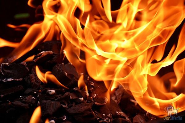 Співробітники ДСНС повідомили про пожежу у Луганській області, яка охопила п'ять гектарів лісу. Приблизна площа пожежі в лісовому масиві в районі селища Щедрищеве від трьох до п'яти гектарів. Зараз триває гасіння лісової пожежі.