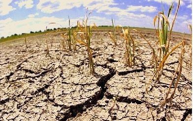 Вчені пророкують повені і посухи. Які кліматичні зміни нас чекають?